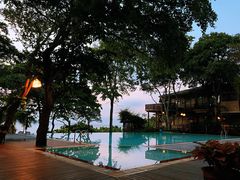 -卷心菜和避孕套餐厅(Pattaya)