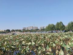 -火锅岛潮牌自助餐厅(天津天佑城店)