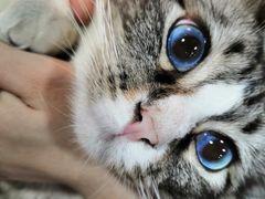 -白兔子密室(长寿路店)