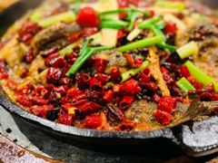 -老板恋上鱼(高新万达店)