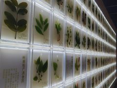 -广东中医药博物馆