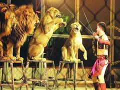 -西安秦岭野生动物园