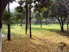 -四川大学(华西校区)