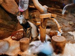 -成都浩海立方海洋公园