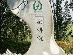 -白洋淀景区