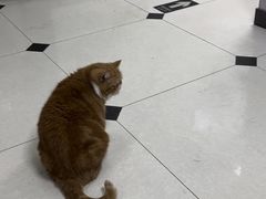 -酷宠动物医院(天通西苑店)