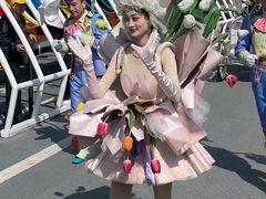 -荷兰花海