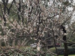 -无锡梅园公园