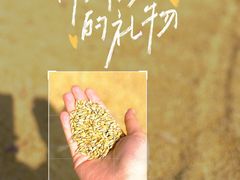 -上海佘山国家森林公园天马山园