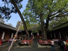 -少华山国家森林公园