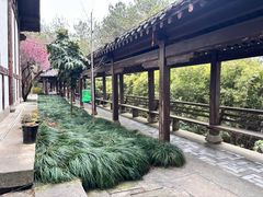 -梦姑塘文化公园