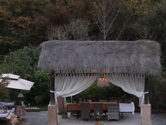 -看见远方·莫干遥远的山民宿