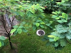 -白云山风景名胜区