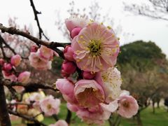 -无锡梅园公园