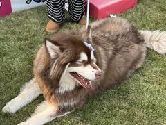 -上海神旺大酒店