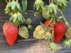 -德克士(北大街店)