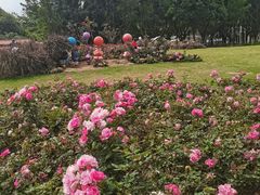 -深圳龙潭公园