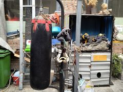 -新疆狼爷烤肉(宋庄店)