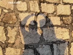 -东望洋炮台东望洋灯塔