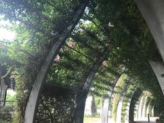 -布里斯班南岸公园