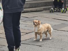 -衣裳街历史文化街区