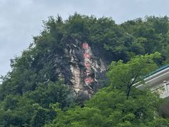 -黔灵山公园