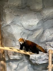 -Zoolung Zoolung动物主题公园(海信广场店)