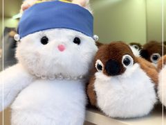 -深圳湾万象城(南山店)