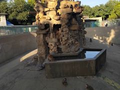 -保定市动物园