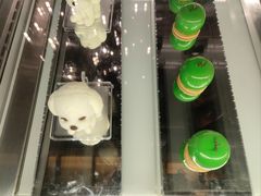 -时光吧·大堂吧·丽江和府洲际度假酒店