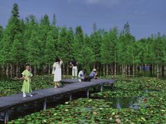 -白鹭湾湿地公园