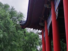 -哈尔滨极乐寺