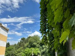 -黑龙江省森林植物园