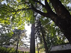 -潭柘寺景区
