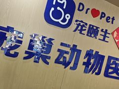 -宠颐生宠物医院·异宠猫科内科·诊疗中心宠巢店