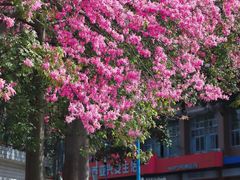 -华南师范大学(广州大学城校区)