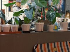 -nodcafe(M50创意园店)