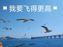 -黑石礁公园