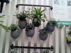 -三圣花乡旅游区