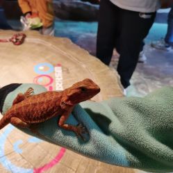 -酷嗒动物文化乐园(cutezoo西溪乐天城店)