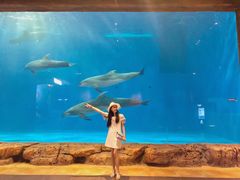 -华夏文旅海洋公园