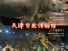 -天津自然博物馆