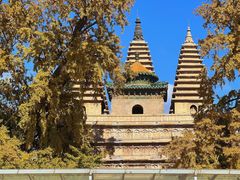 -北京石刻艺术博物馆(五塔寺)