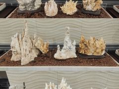 -游龙石文化科普馆