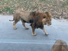 -西安秦岭野生动物园