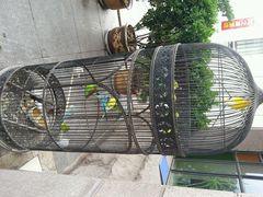 android_upload_pic-老味道民宿(栈桥店)