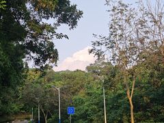 -火炉山森林公园