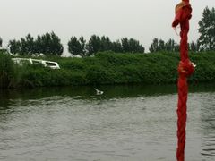 -白渔泡湿地公园