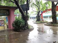-广州长隆飞鸟乐园