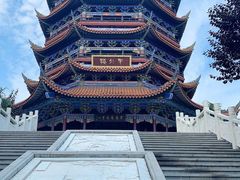 -铁山坪森林公园